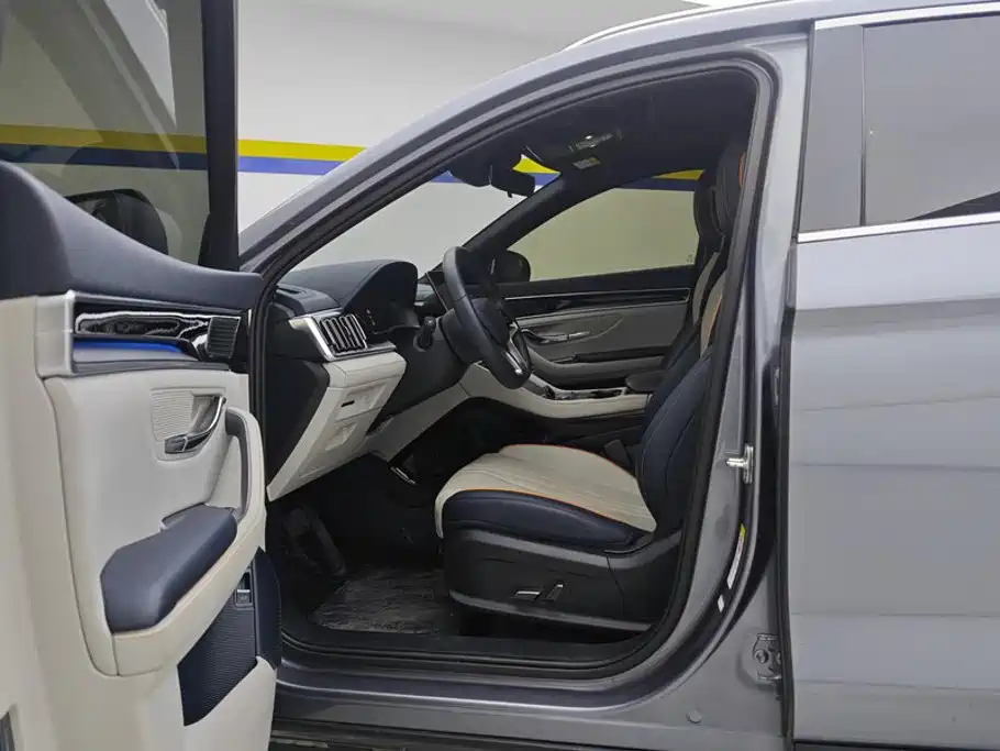 BYD Song PLUS New Energy 2024 — фото 9