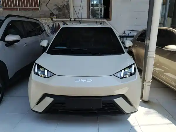 BYD Seagull 2024