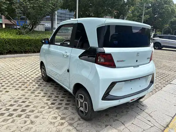 Dongfeng Scenery MINIEV 2022
