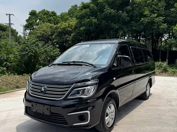 Dongfeng Lingzhi 2022