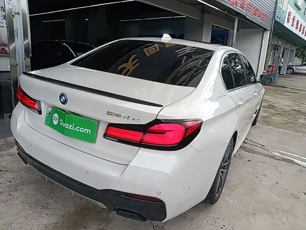 BMW 5 Series New Energy 2022