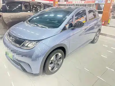 BYD Dolphin 2024
