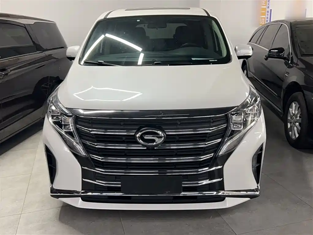 GAC Motor Trumpchi M8 2023 — фото 14