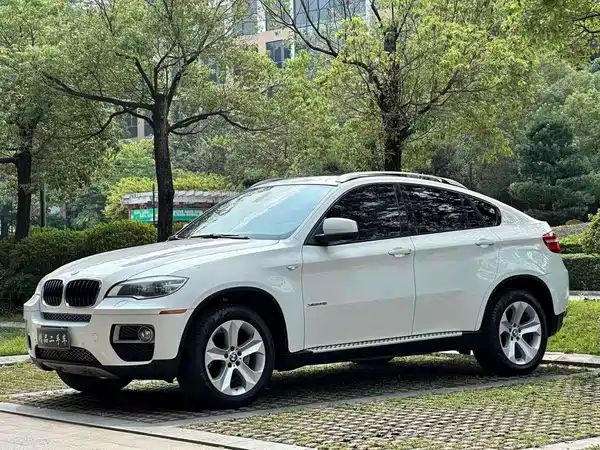 BMW X6 2014
