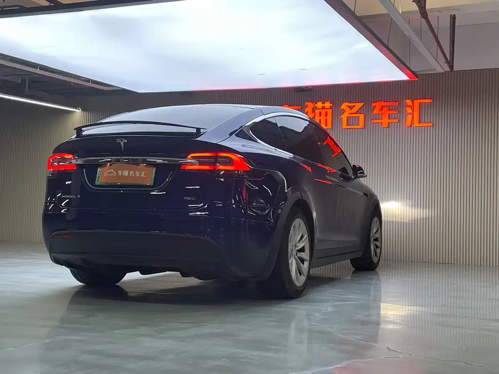 Tesla Model X 2017 — фото 14