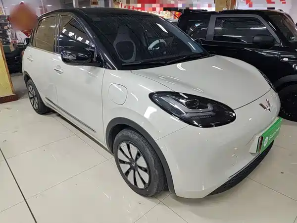 Wuling Bingo 2024