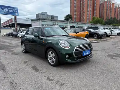MINI MINI 2016