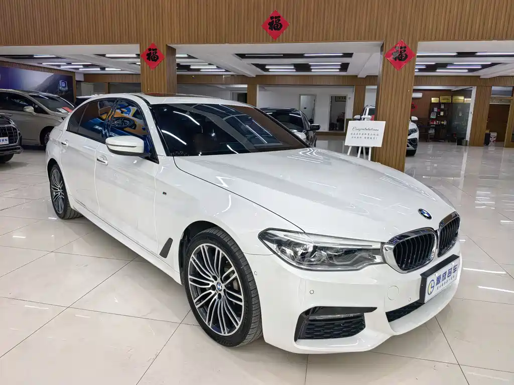 BMW 5 Series 2018 — фото 3