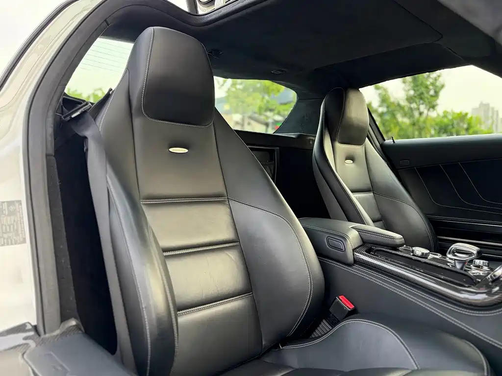 Mercedes-Benz Sls-Class AMG 2019 — фото 13