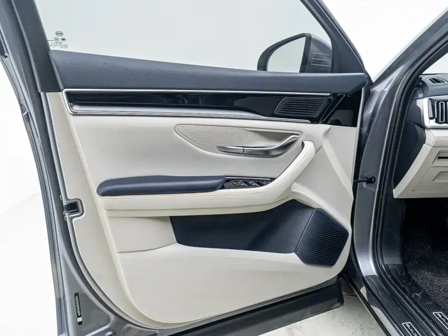 BYD Song PLUS New Energy 2024 — фото 12
