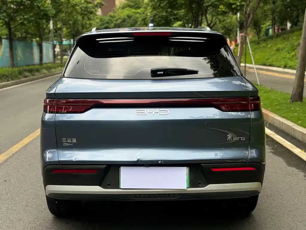 BYD Pro New Energy 2025 — фото 4