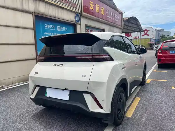 BYD Seagull 2024