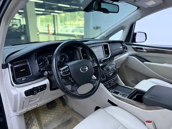 GAC Trumpchi M8 2019
