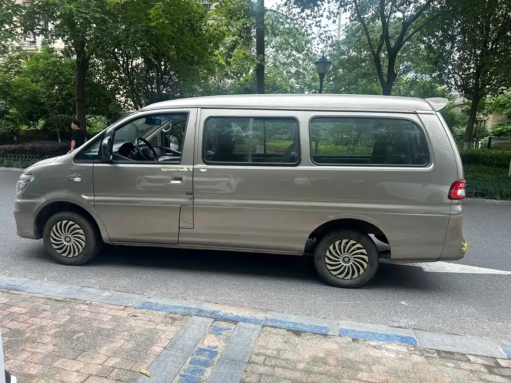 Fengxing Lingzhi 2019