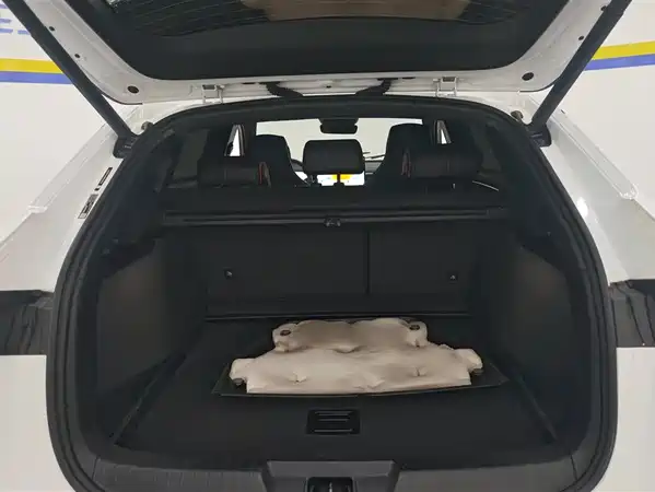 BYD Song PLUS New Energy 2023