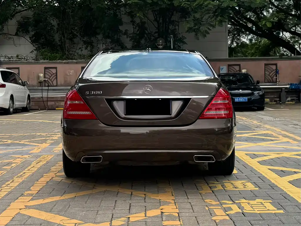 Mercedes-Benz S-Class 2010 — фото 10