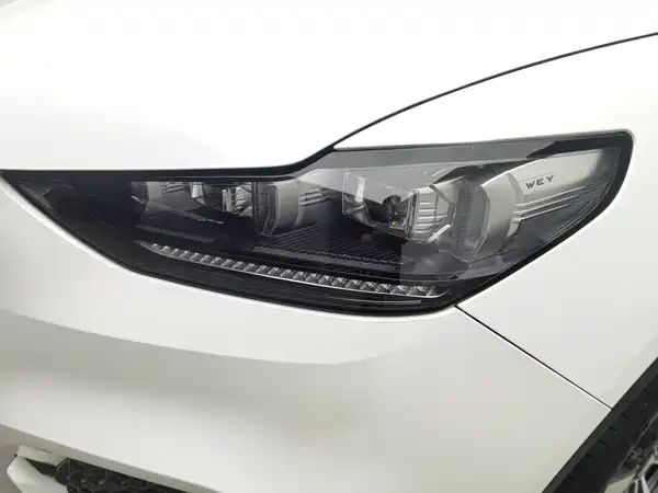 Wey VV6 2020
