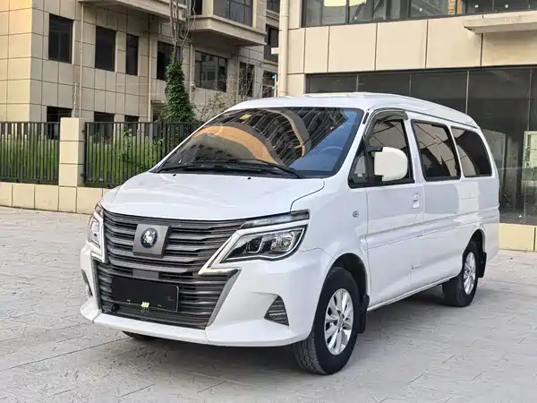 Dongfeng Lingzhi New Energy 2022