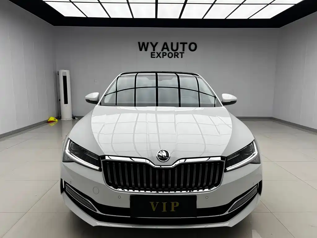 Skoda Speedy 2024