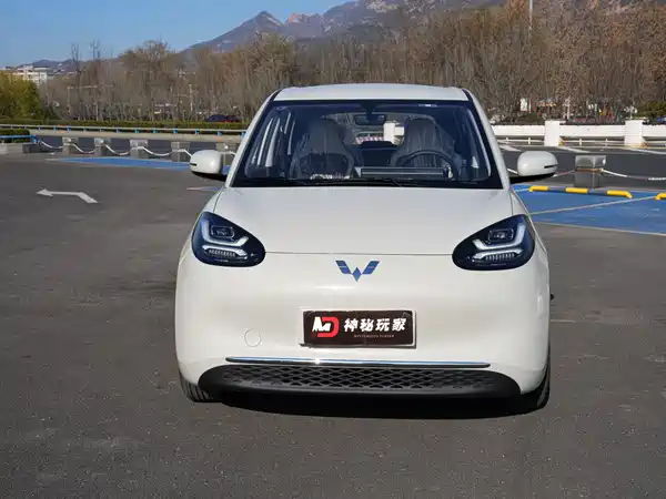 Wuling Bingo 2024