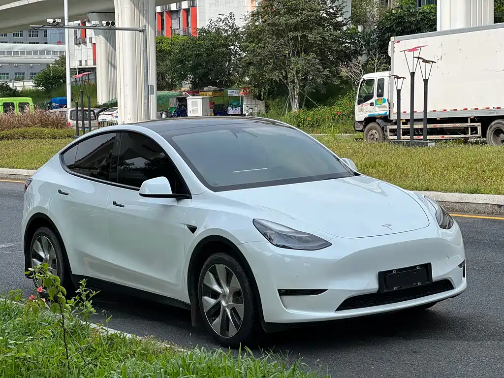 Tesla Model Y 2021 — фото 3