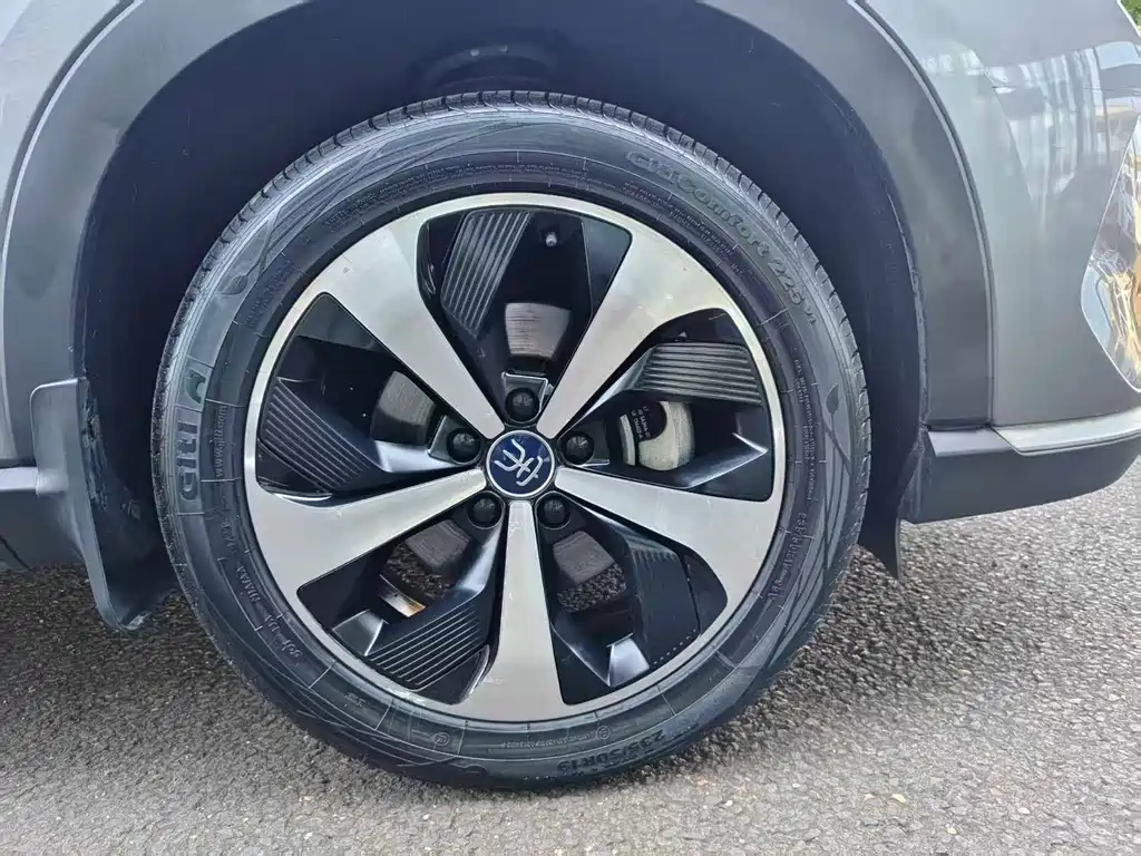 BYD PLUS New Energy 2023 — фото 14