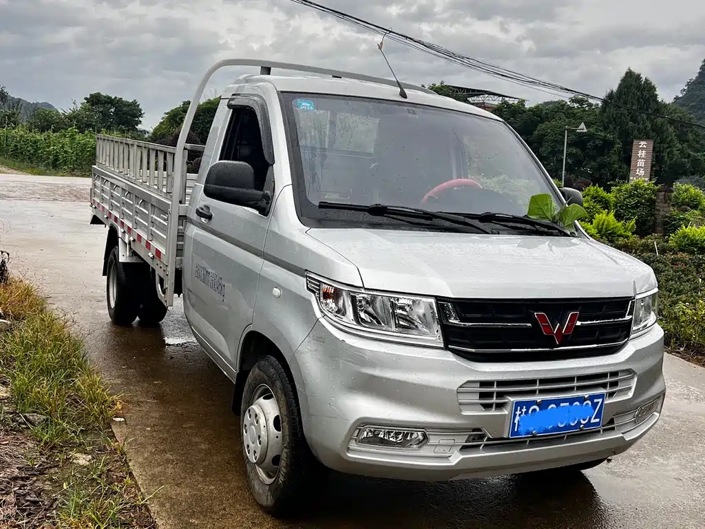 Wuling Rongguang New Truck 2023