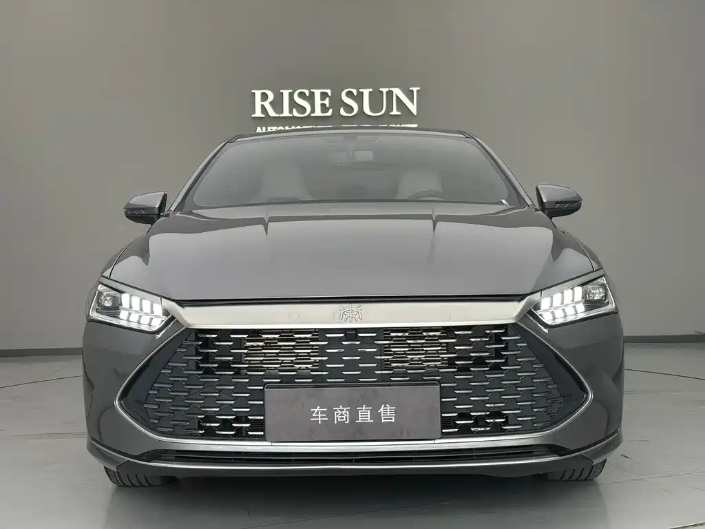 BYD Qin PLUS 2024