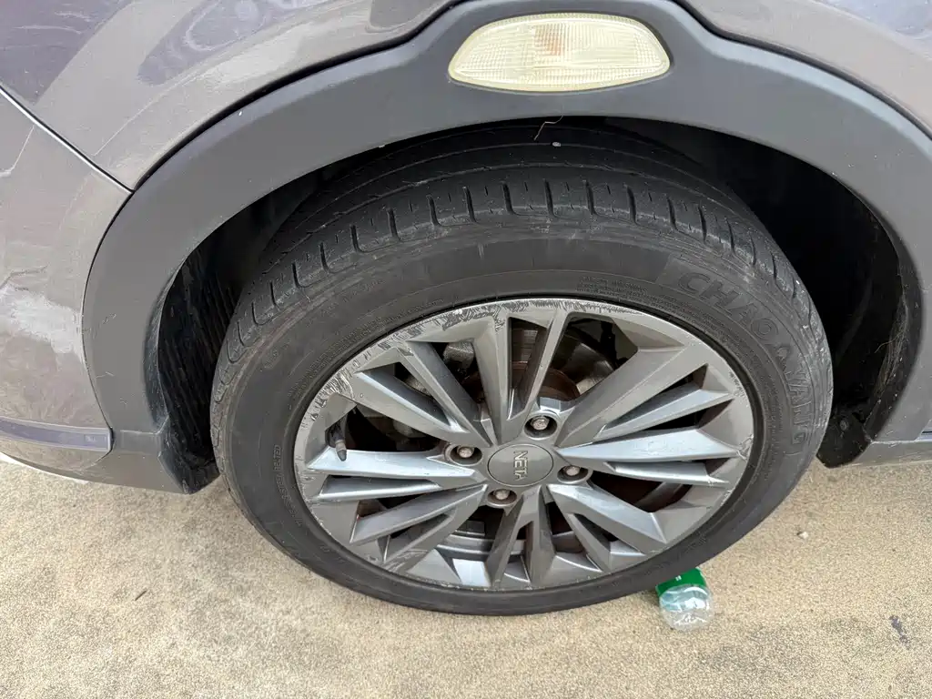 Neta V 2022