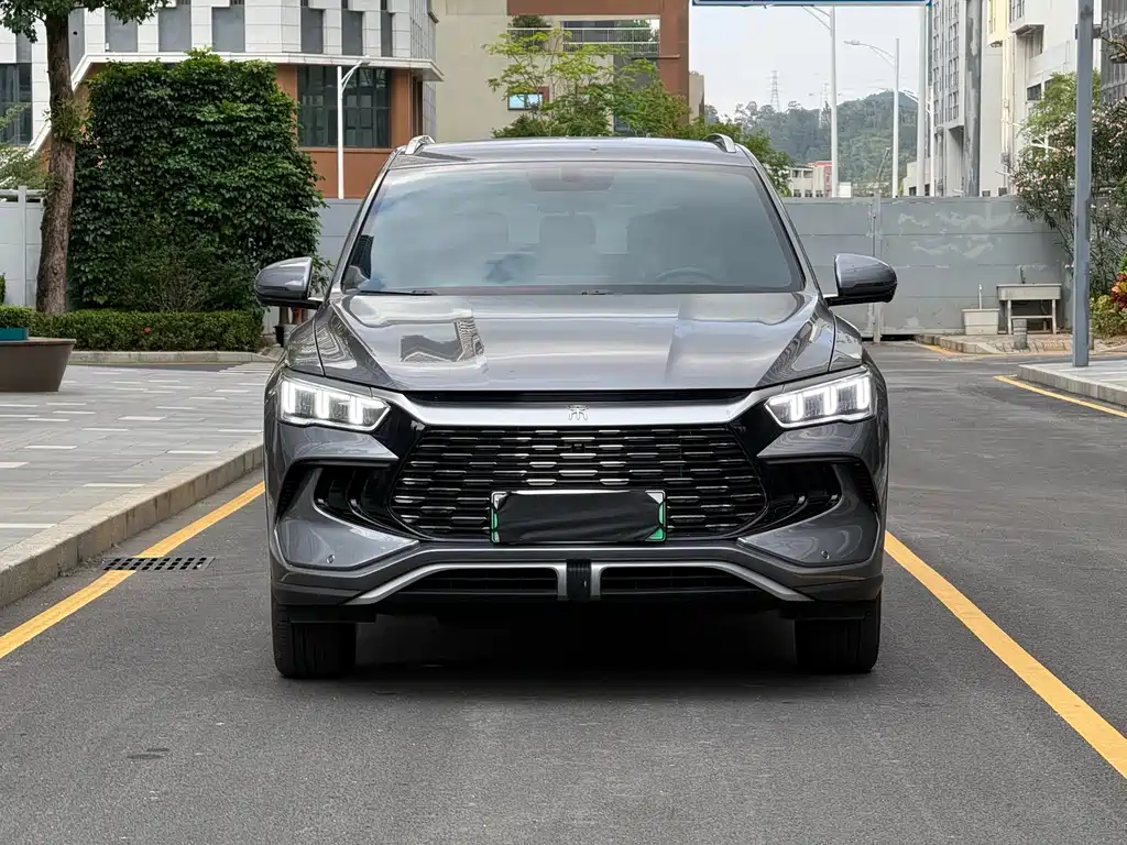 BYD Pro New Energy 2024 — фото 2