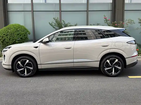 BYD Sealion 06 2025