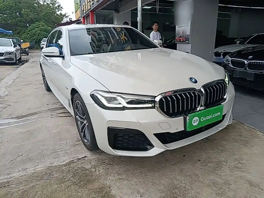 BMW 5 Series New Energy 2022