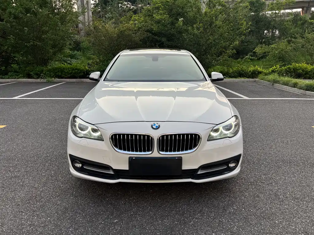 BMW 5 Series 2016 — фото 2