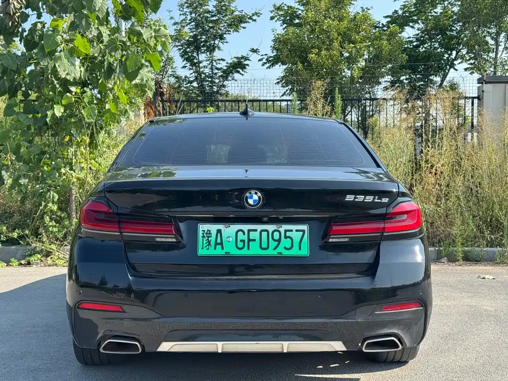 BMW 5 Series New Energy 2021
