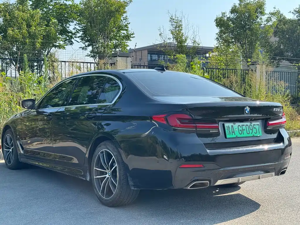 BMW 5 Series New Energy 2021