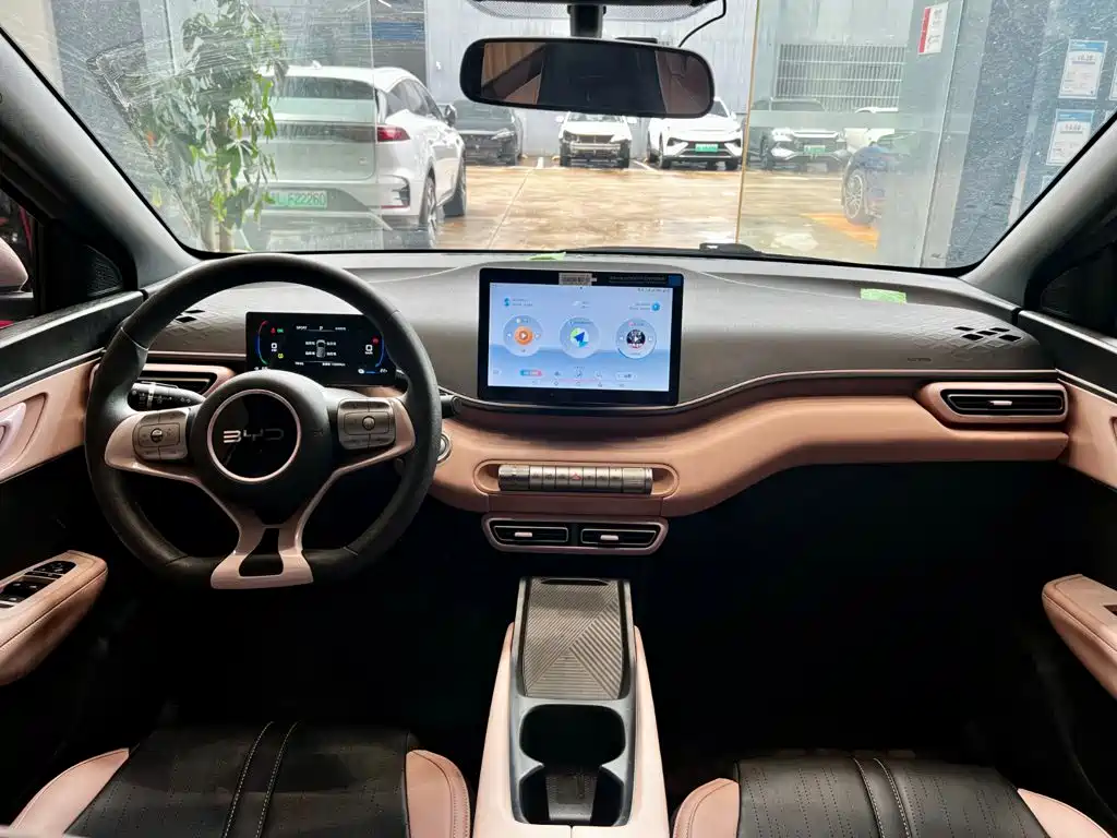 BYD Seagull 2024