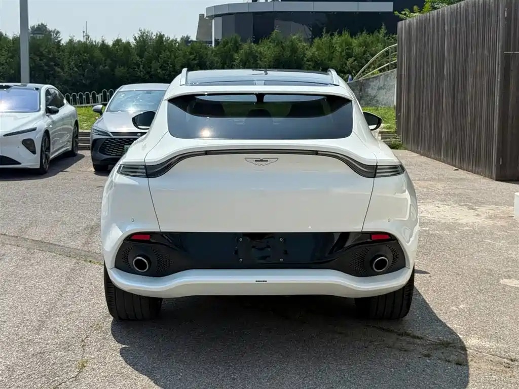 Aston Martin DBX 2021 — фото 11
