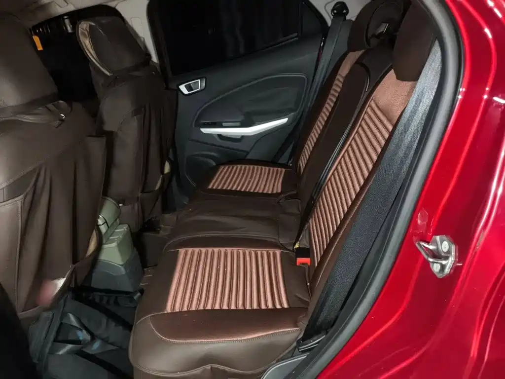 Ford EcoSport 2016 — фото 14