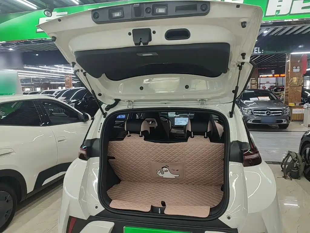 BYD Seagull 2025 — фото 19