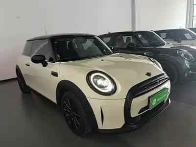 MINI MINI 2022