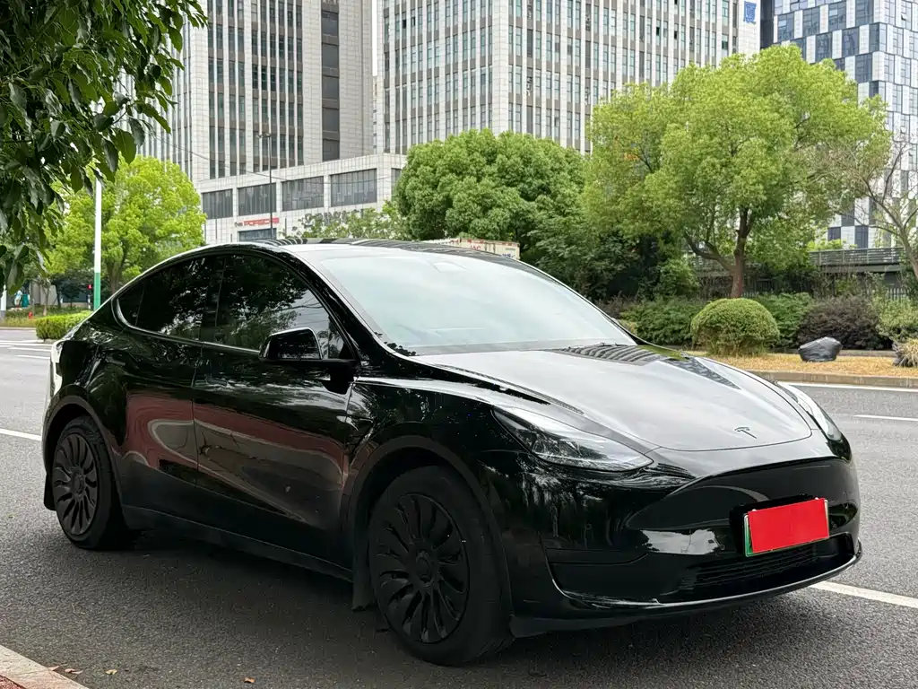 Tesla Model Y 2024 — фото 3