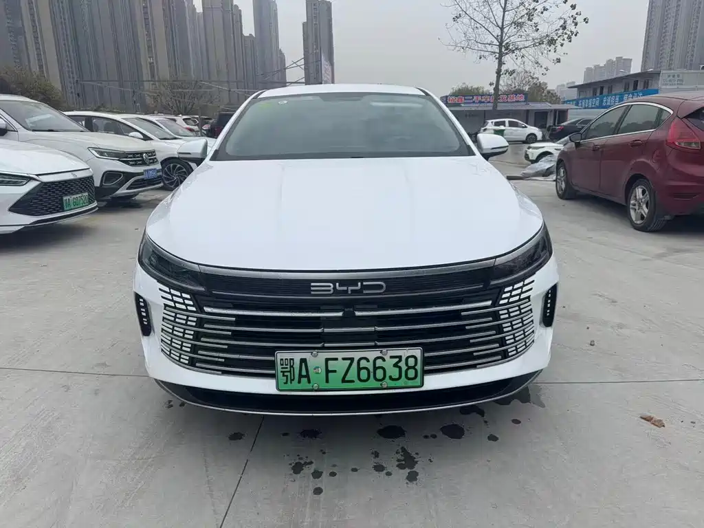 BYD Destroyer 05 2024 — фото 15