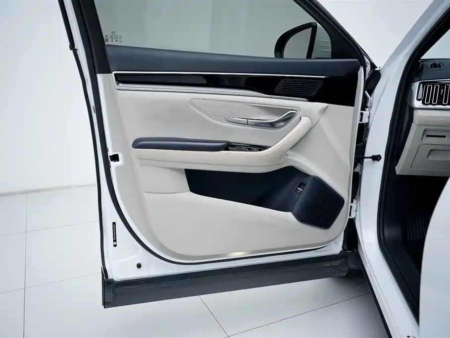BYD PLUS New Energy 2023 — фото 6