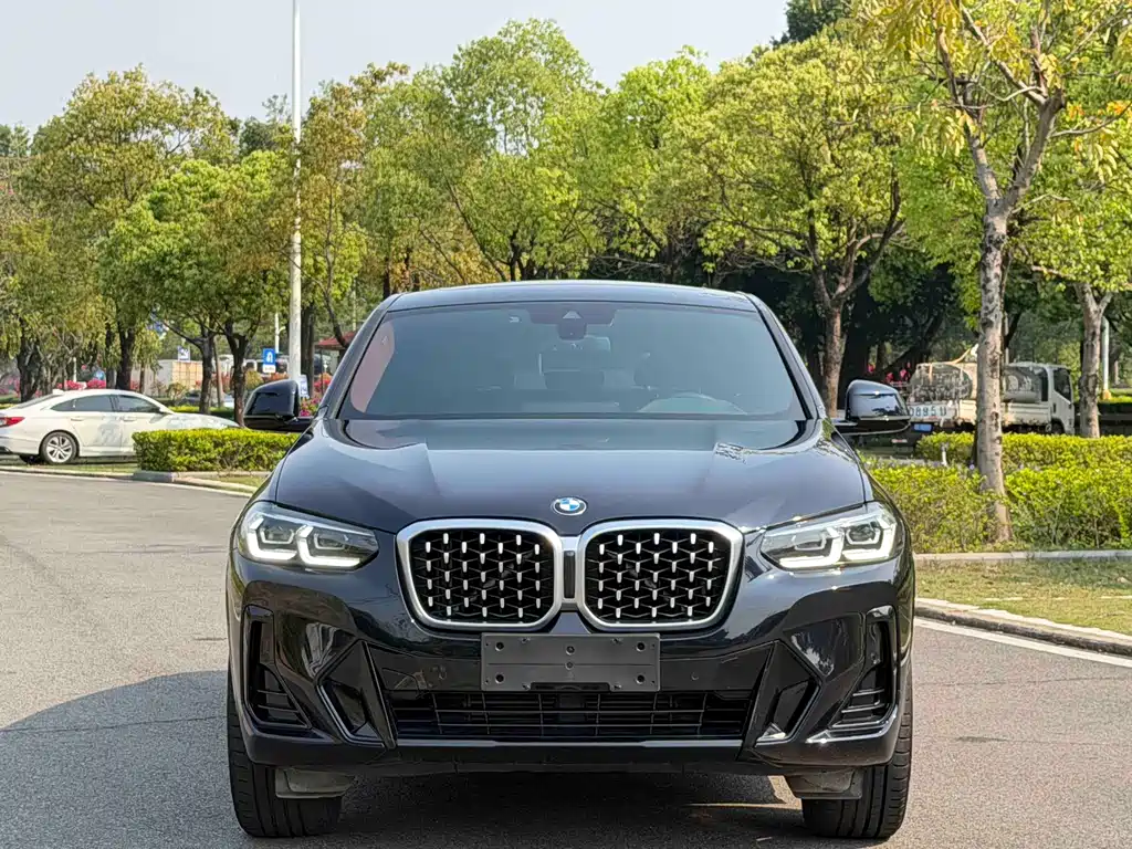 BMW X4 2023 — фото 2