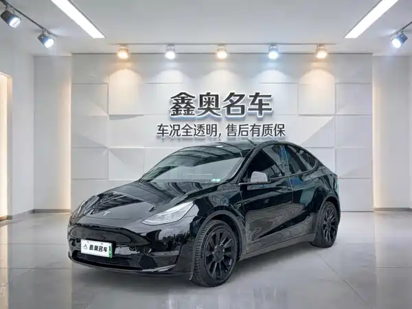 Tesla Model Y 2021