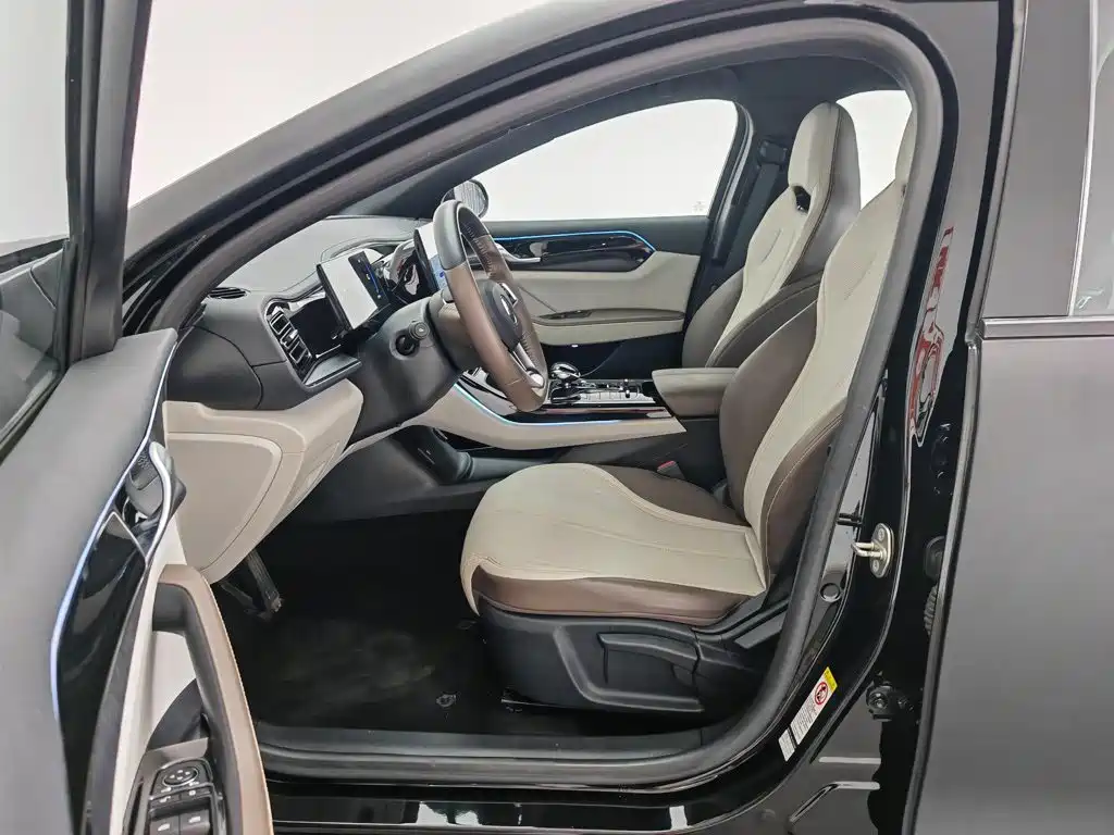BYD Qin PLUS 2023 — фото 10