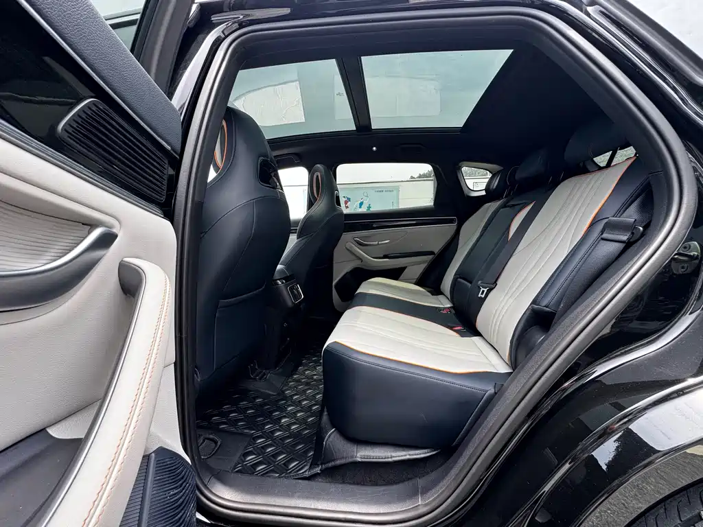 BYD Song PLUS New Energy 2024 — фото 16
