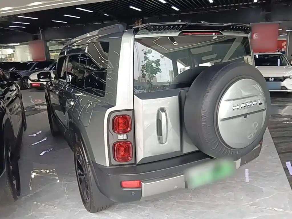 Haval Menglong New Energy 2024