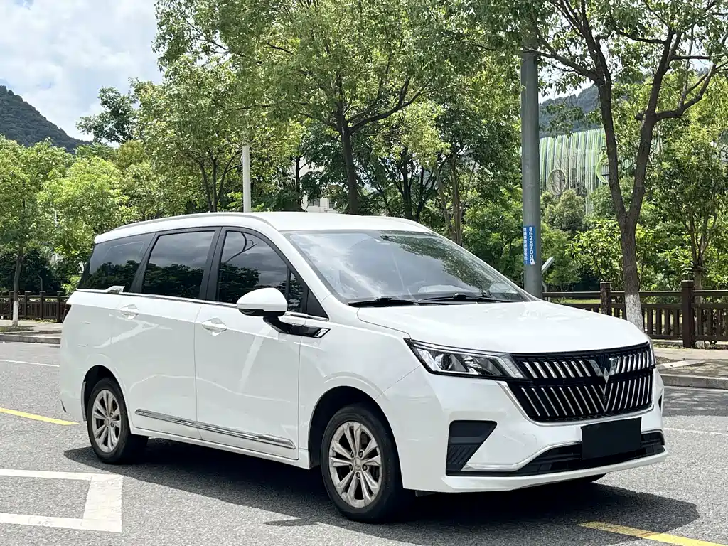 Wuling Jiachen 2024