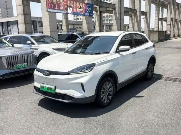 WM Motor EX5 2019